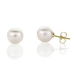 14K White/Yellow Gold Real White Pearl Stud