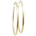 10k Yellow Gold earrings Plain Cut hoop AGBE32 1