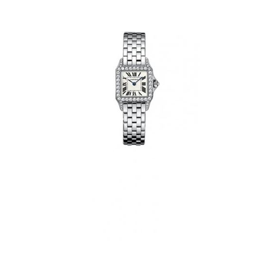 Cartier New Santos Series Women