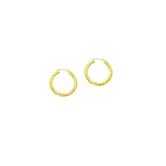 10K Yellow Gold Ladies Hoop Earrings 203LT