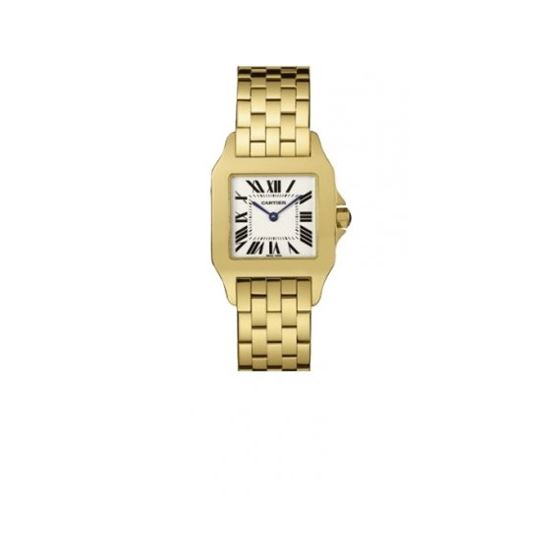 Cartier New Santos Series Unisex Watch W25062X9