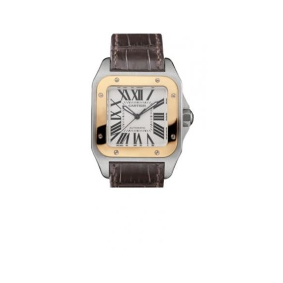 Cartier New Santos Series Unisex Watch W20107X7