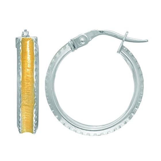 14K Yellow White Gold Ladies Hoop Earrings ER3426