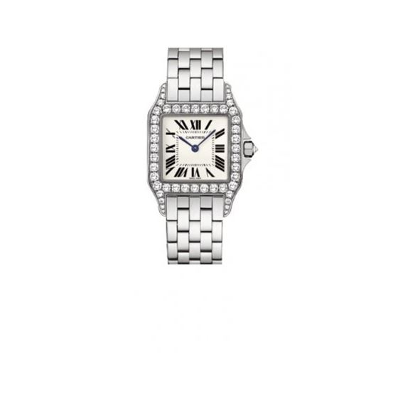 Cartier New Santos Series Unisex Watch WF9004Y8
