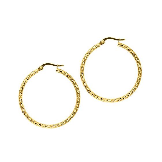 10K Yellow Gold Ladies Hoop Earrings 3005ER