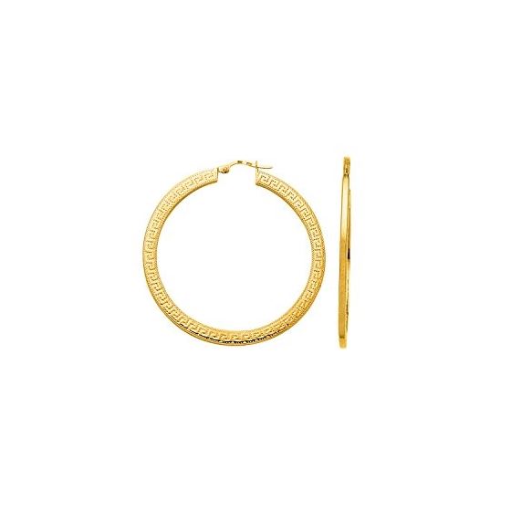 14K Yellow Gold Ladies Hoop Earrings ER659