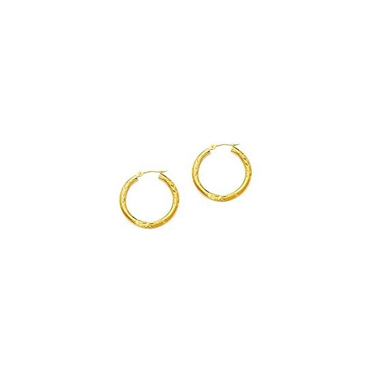 10K Yellow Gold Ladies Hoop Earrings 202LT